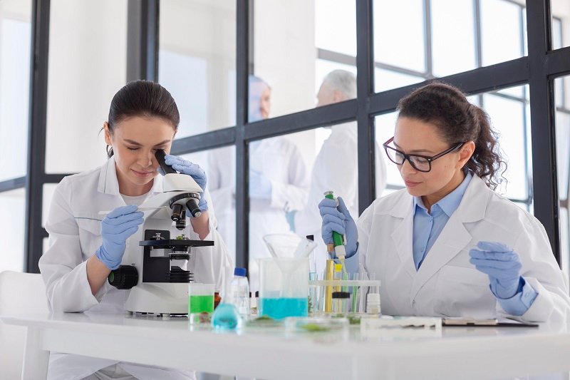 La Maestría en Farmacología de Productos Naturales está dirigida a profesionales de la salud, investigadores, docentes, y graduados en ciencias que desean especializarse en medicamentos derivados de productos naturales y su aplicación en la medicina moderna.
