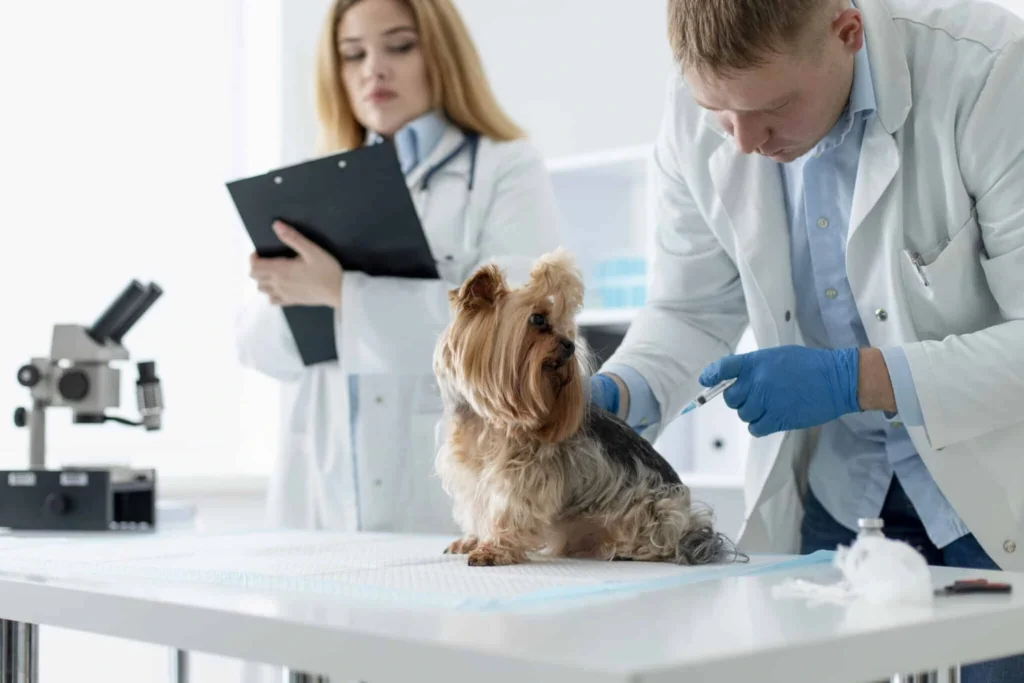 Diplomado en Atención Crítica Veterinaria Aplicada (ECCUCI) 3