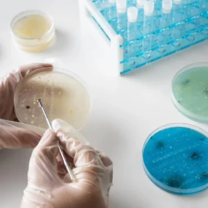Curso de Análisis e Identificación de Microplásticos en Laboratorio 3