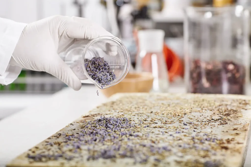 Máster en Ingeniería de Tratamiento y Remediación de Microplásticos 1