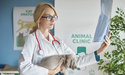 Diplomado en Farmacología Veterinaria