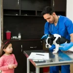 Maestria-Profesional-en-Urgencias-y-Cuidados-Intensivos-de-Pequenos-Animales-ECCUCI-1
